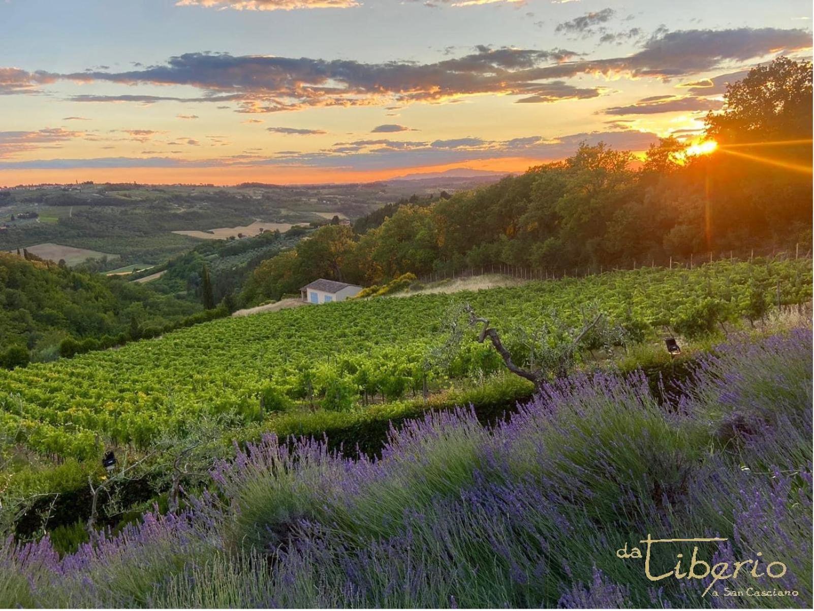Tenuta Massabo San Casciano in Val di Pesa Exterior photo