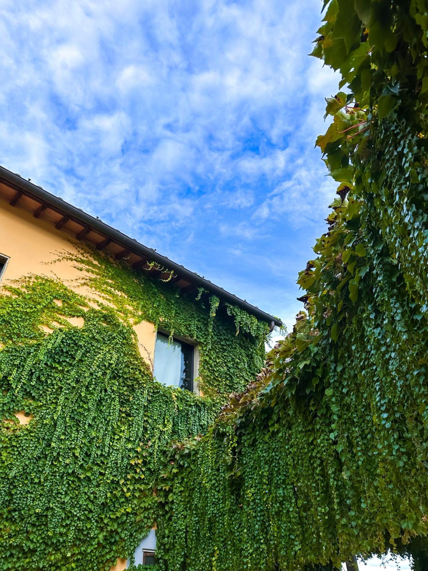 Tenuta Massabo San Casciano in Val di Pesa Exterior photo